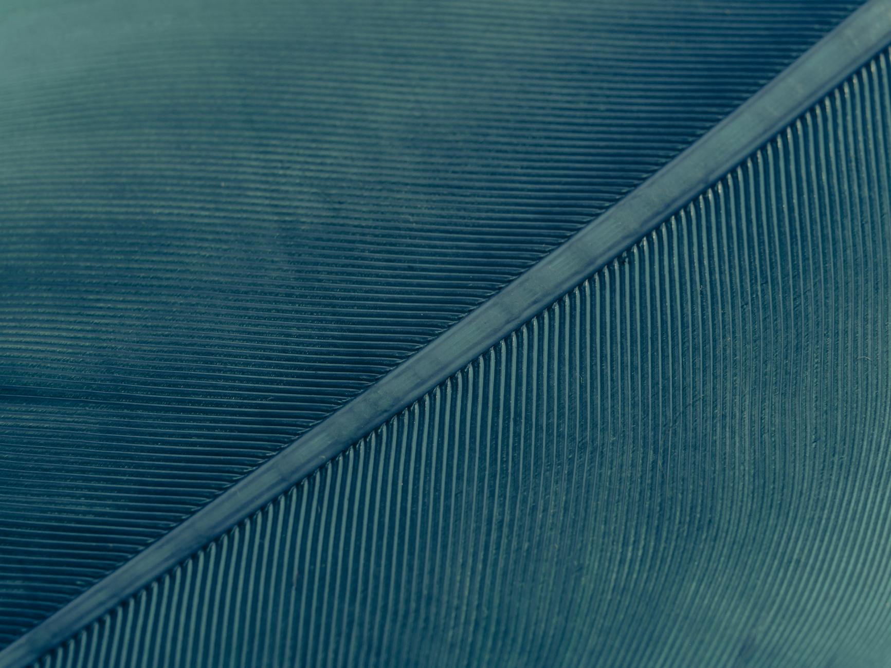 Fine lines, Effortless Natural Remedies: The Best Secrets